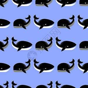 蓝背景的海鱼分布图 无鲸类密封无鱼鱼种图片