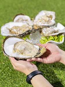 新鲜牡蛎盘子熟食食物石头石板贝类柠檬餐厅岩石海鲜图片