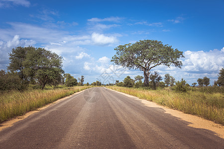 非洲南部Kruger国家公园的公路上天气植物场地植被土地森林蓝色旅行树木街道图片