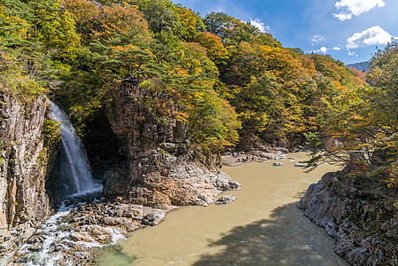 日本 日元雄立子森林日光公吨旅游温泉景点光洋峡谷旅行速度图片