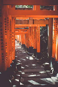 日本京都佛教徒神社建筑学木头历史文化隧道地标旅游森林图片