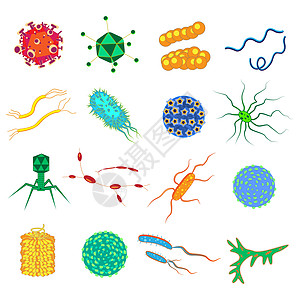 细菌和细菌五颜六色的集合微生物致病物体不同类型的细菌病毒真菌原生动物 在白色背景上孤立的矢量平面样式卡通插图图片