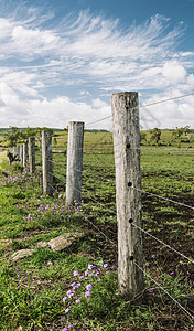国家农业和农耕田地环境饲料生态植被乡村农村荒野牧场天空僻壤图片