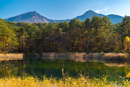日本福岛秋天日本 乌拉班达伊森林池塘叶子晴天旅行红色绿色游客公园黄色图片