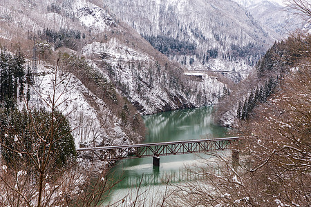 冬季风雨雪培训树木田园冰镇白色森林农村林地铁路火车景观图片