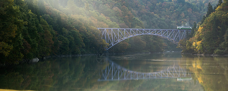 日本塔达米河第一桥日本运输火车光洋旅行铁路峡谷薄雾森林反射旅游图片