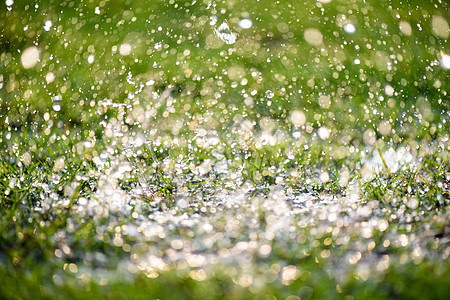 Fr 绿草地上大雨特写的软焦点图片