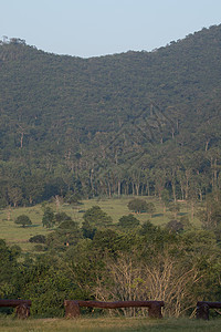 泰王国的林中长江场景日落山脉蓝色阳光太阳爬坡旅游公园森林图片