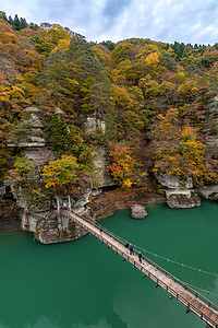 福岛日本不为赫苏里岛日本公园松树地块植物镜子树木车削国家爬坡峡谷图片
