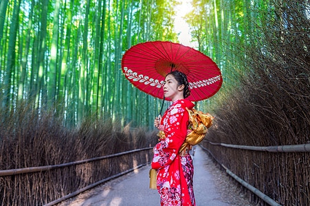 竹林 亚洲女人在日本京都的竹林 穿着日式传统和服森林树木叶子街道场景寺庙女孩生长栅栏文化图片