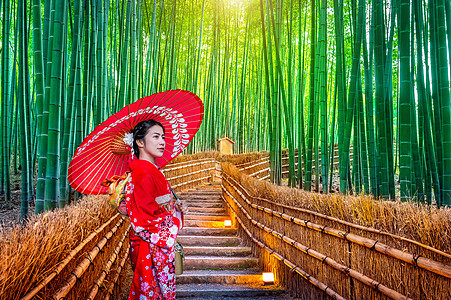 竹林 亚洲女人在日本京都的竹林 穿着日式传统和服生长树木场景叶子植物木头街道环境花园女士图片