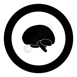 圆圆的大脑图标黑色图片