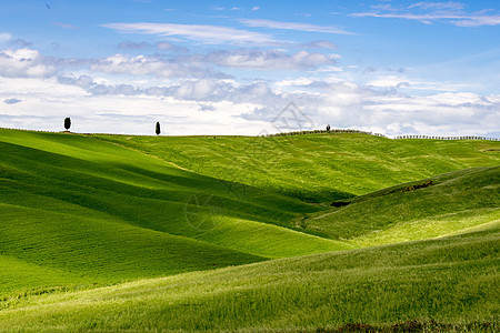 Toscan 风景视图树木季节农村天空草原爬坡假期蓝色土地植被图片