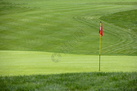 绿色草地上高尔夫旗奢华运动杯子球道地面高尔夫球娱乐游戏课程竞赛图片