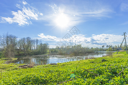 阳光明媚的春日村庄牧场池塘木头草地植物天空树木场地风景图片