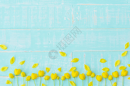黄花在面糊蓝蓝色木头背景上 春天桌子乡村植物园艺婚礼花瓣花朵边界花束美丽背景图片