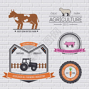用于您的产品或设计 Web 和移动应用程序的标志元素的农场标签模板 带有文本 矢量图和邮票符号上的细线隔离图标质量边界农业信息奶图片