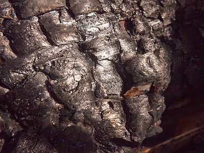 特写烧焦的树桩的黑色纹理森林木炭闪亮的裂纹衰变裂缝木头煤炭风化材料墙纸烧伤损害木材图片
