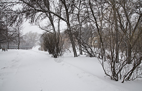 草原冬季场景降雪天气白色农村自然乡村风景图片