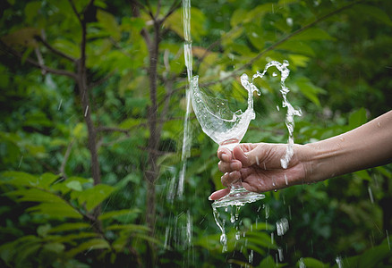 水倒在玻璃中 自然背景上有女人的手白色女性飞溅孩子喷泉棕榈茶点环境溪流绿色图片