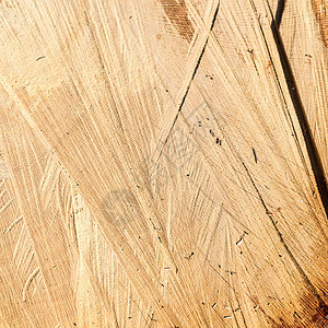 木纹理背景背景木地板地面木头桌子材料木板硬木木材棕色图片