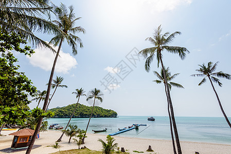 海和海滩海景假期海洋旅游热带椰子景点旅行支撑蓝色图片