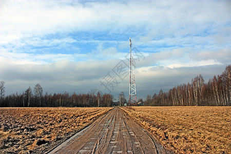 从通讯塔和通往森林的道路的视线看草地农业风景环境日落力量太阳乡村场地绿色图片