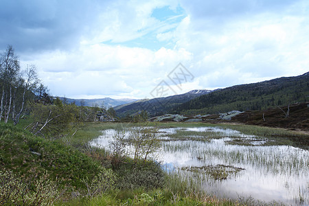 挪威的Tundra景观旅行环境地形风景沼泽国家公园全景假期蓝色图片