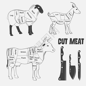 英国切羊肉 牛肉 牛肉 山羊或动物图表肉食物腰部小腿肩膀屠夫脖子插图胸部屠宰场肋骨图片