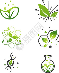 素食绿叶抽象科学实验室 Se标识公司商业健康测试生物叶子生态插图食物图片