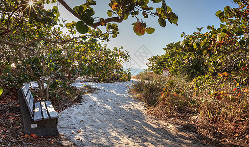 州白沙滩上的木板凳晴天海岸蓝天木凳海滩海洋假期支撑海岸线热带图片