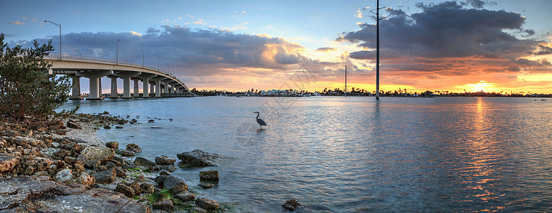 伟大的蓝色海绵阿迪亚英雄迪亚斯 站在水中与太阳一样海景全景海洋滨鸟旅行海岸线海岸水禽鸟类天空图片