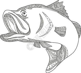 澳洲肺鱼跳跃涂鸦 Ar图片