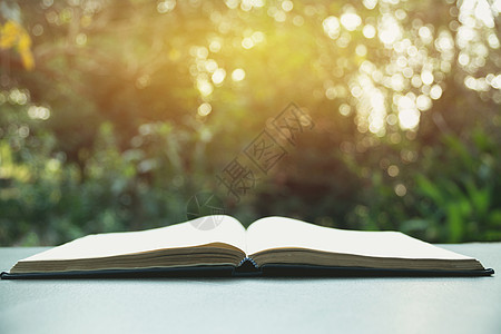 打开书 用旧木桌打开关于自然背景的书古董黄色日记蓝色学习白色文档图书文学出版物图片
