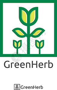 简单的绿树标志 有机草药标志概念 矢量病场地框架草本植物环境邮票杂草药品徽章生长蔬菜图片