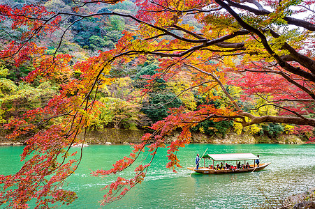 在日本京都沿河的秋天 阿拉希山号船轮在河边打上船女孩木头竹子旅行和服叶子季节假期女士森林图片