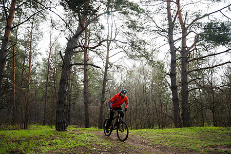 赛车手骑着山上摩托 在美丽的松树林的迷雾中 冒险和旅行概念森林头盔安全耐力男性自行车速度橙子娱乐松树图片