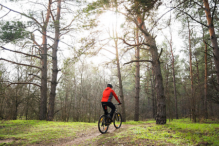 赛车手骑着山上摩托 在阳光下美丽的松林的轨迹上 冒险和旅行概念耐力赛头盔魔法活动男人耐力踪迹森林自行车运动员图片