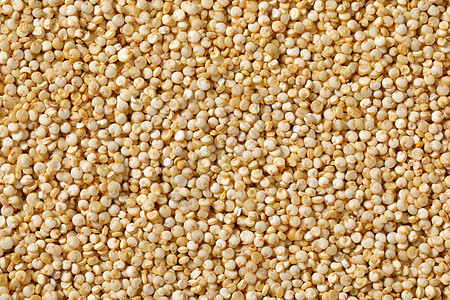 白quinoa种子粮食食物白色画幅内核高架营养背景图片