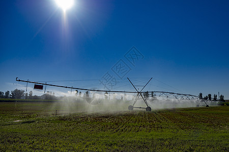雨水灌溉方法的灌溉方法图片