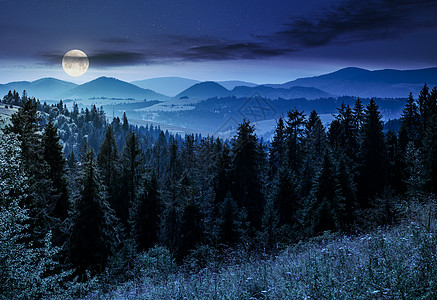 夜间在山上砍伐林木驼峰照明林地云杉地面草地风景星星公园土地图片