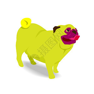 黄狗狗伸出舌头图片