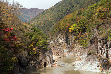 日本 Nikko 河谷峡谷公吨吸引力树木日光温泉森林地标悬崖旅行风景图片