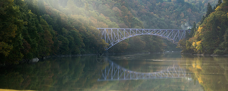 日本塔达米河第一桥日本运输火车机车叶子旅游铁路薄雾森林光洋假期图片