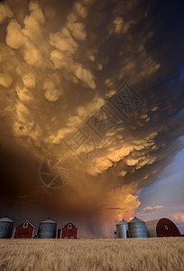 加拿大曼马图斯云暴荒野天气危险戏剧性场景乳状风景风暴天空雷雨图片