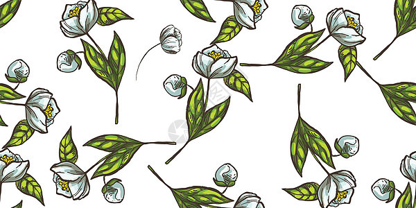 无缝花卉手绘图案 素描花打印在柔和的颜色矢量背景植物群草图花瓣植物纺织品装饰品墙纸草地绘画织物图片