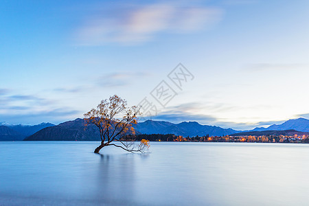 日出时的Wanaka树 新西兰环境吸引力寂寞冒险蓝色海滩天空日落地标国家图片