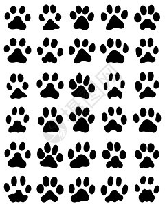 猫爪打印小狗宠物荒野插图爪子网络痕迹黑色卡通片脚趾图片