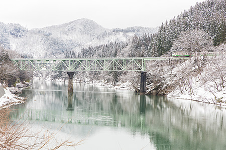 冬季风雨雪培训火车城市农村冰镇林地白色景观风光铁路松树图片