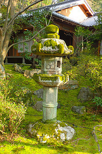 美妙的日本花园图片